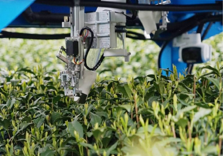 破解茶园采摘痛点：绝对值编码器赋能采茶机精准高效作业
